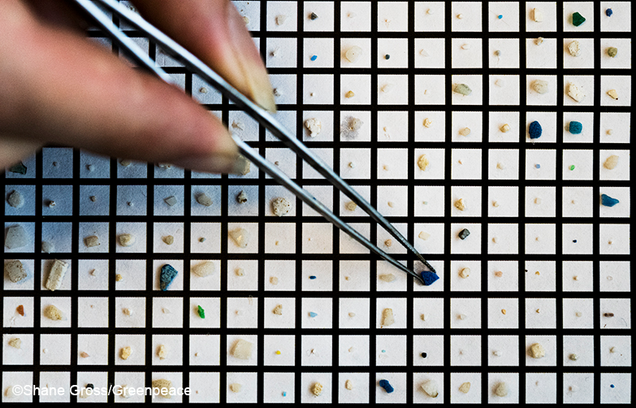 The method scientists use to sort the microplastics to properly count them.